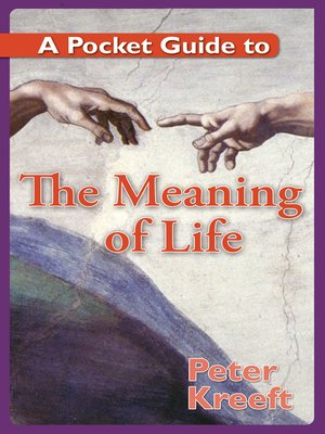cover image of A Pocket Guide to the Meaning of Life